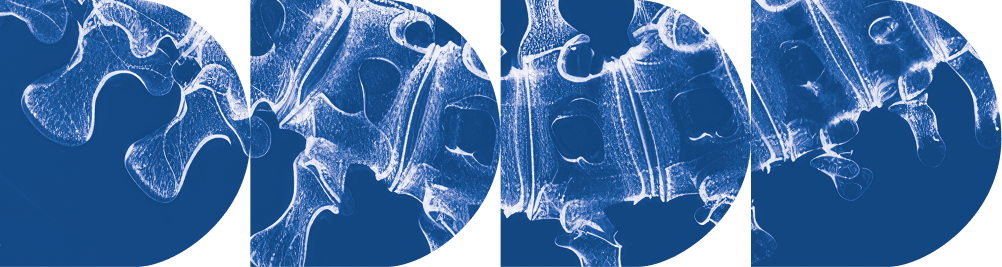 demetra-shapeD-eurospine